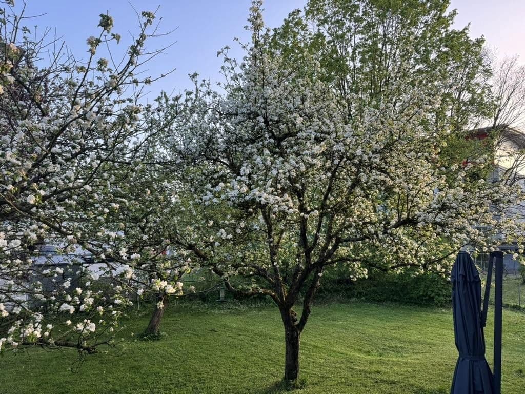 house for sale, 262 m², Von-der-Tann-Straße 3a, Rosenheim, Bavaria house for sale, 262 m², Von-der-Tann-Straße 3a, Rosenheim, Bavaria