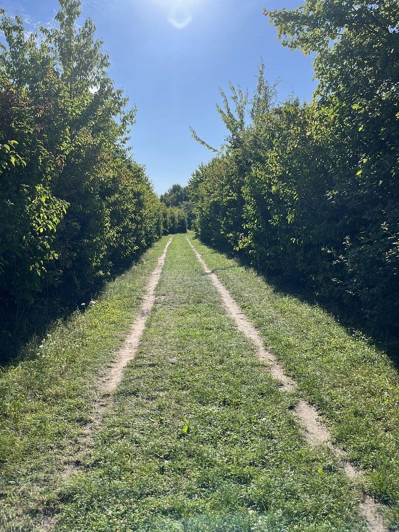 house for sale, 128 m², Hanover, Lower Saxony house for sale, 128 m², Hanover, Lower Saxony