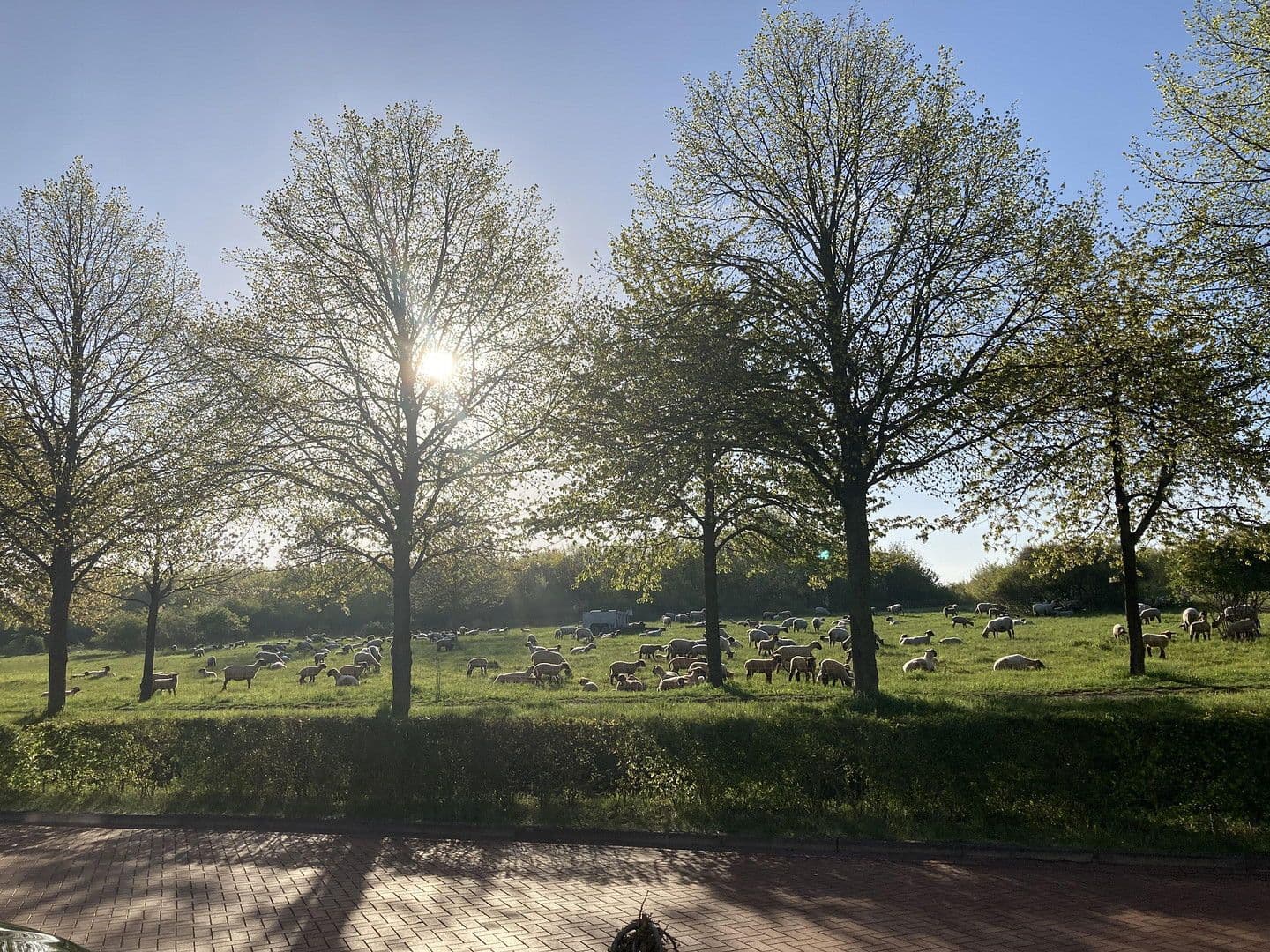 house for sale, 128 m², Hanover, Lower Saxony house for sale, 128 m², Hanover, Lower Saxony