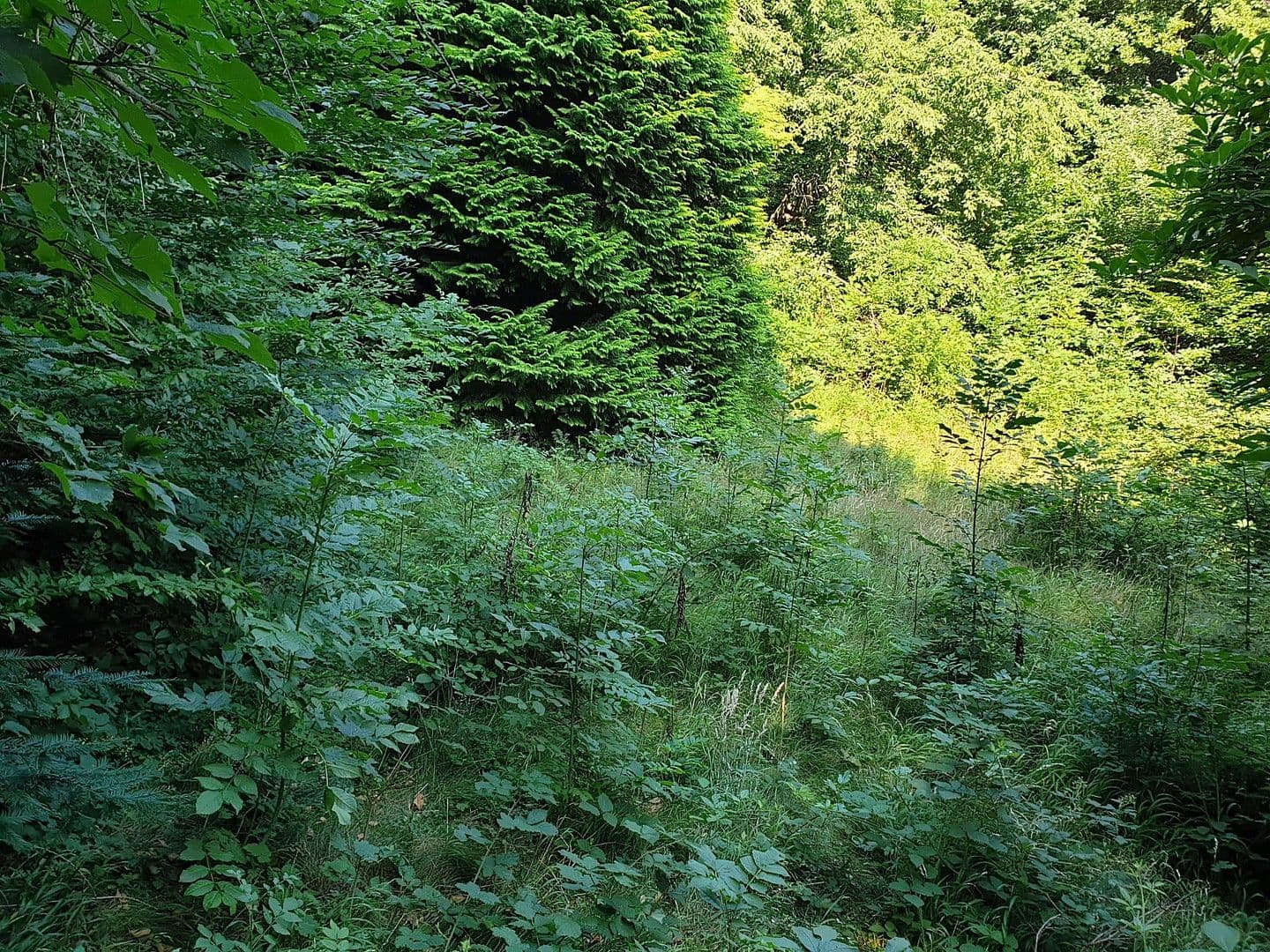 plot for sale, 1,200 m², Wien, Vienna plot for sale, 1,200 m², Wien, Vienna