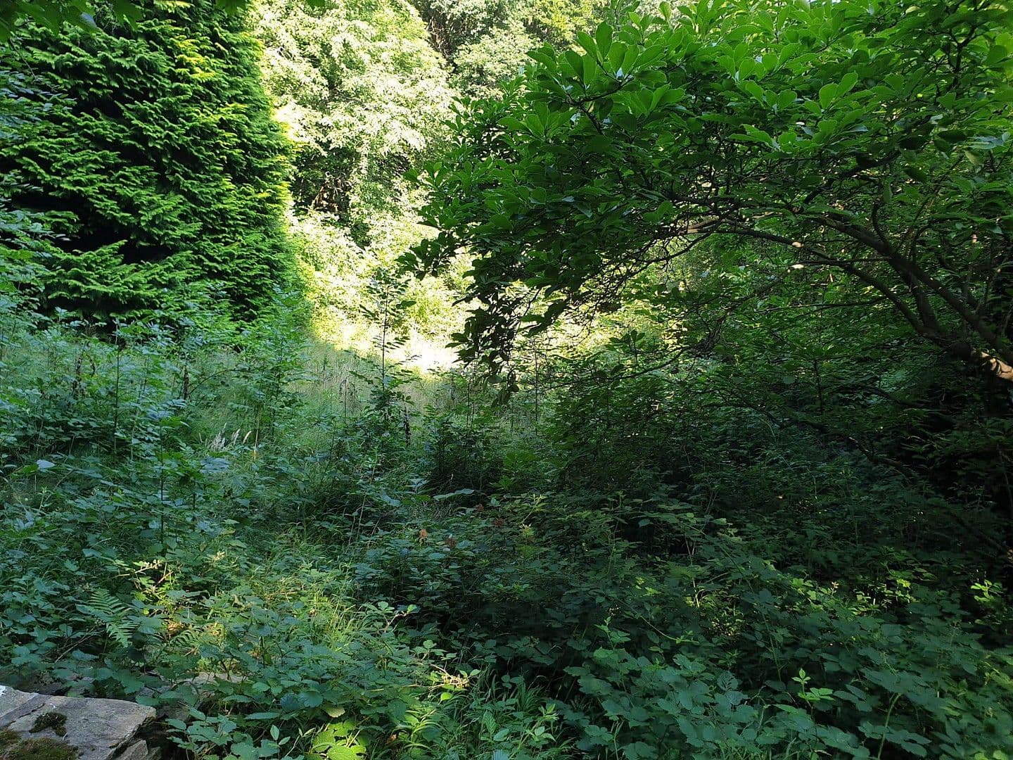 plot for sale, 1,200 m², Wien, Vienna plot for sale, 1,200 m², Wien, Vienna