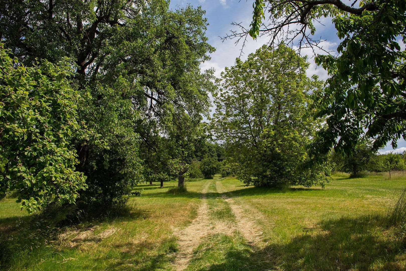 1 bedroom flat to rent, 74 m², Neuenbürg, Baden-Württemberg 1 bedroom flat to rent, 74 m², Neuenbürg, Baden-Württemberg