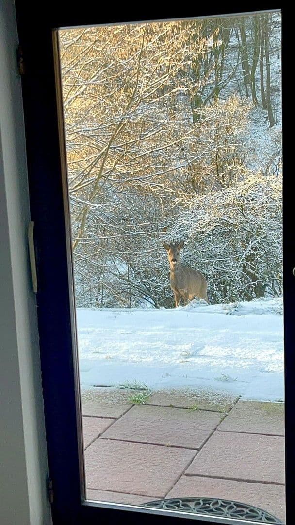 house to rent, 90 m², Bad Soden am Taunus, Hesse house to rent, 90 m², Bad Soden am Taunus, Hesse