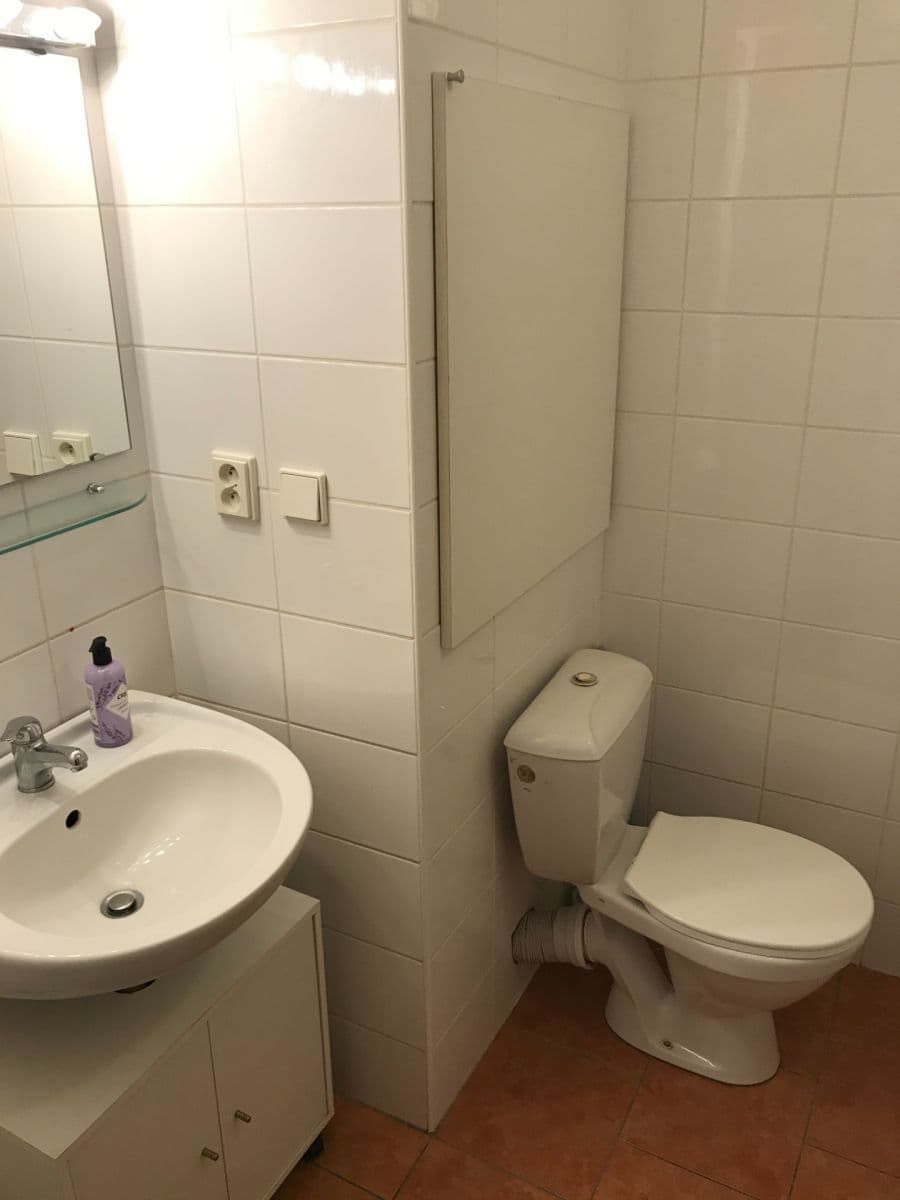 1 bedroom with open-plan kitchen flat to rent, 44 m², Pod Rapidem, Prague, Prague 1 bedroom with open-plan kitchen flat to rent, 44 m², Pod Rapidem, Prague, Prague