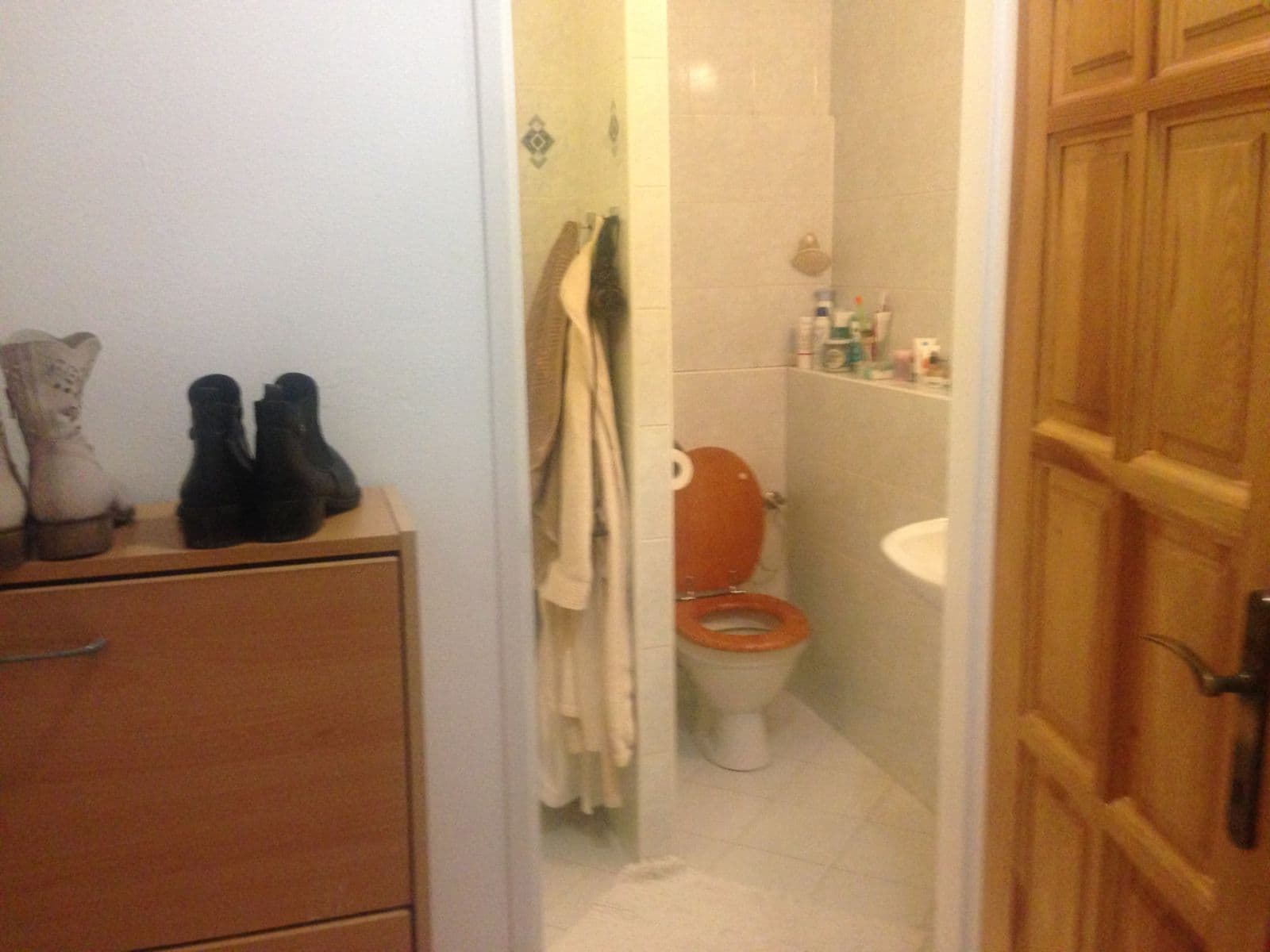 1 bedroom with open-plan kitchen flat for sale, 48 m², Trytova, Prague, Prague 1 bedroom with open-plan kitchen flat for sale, 48 m², Trytova, Prague, Prague