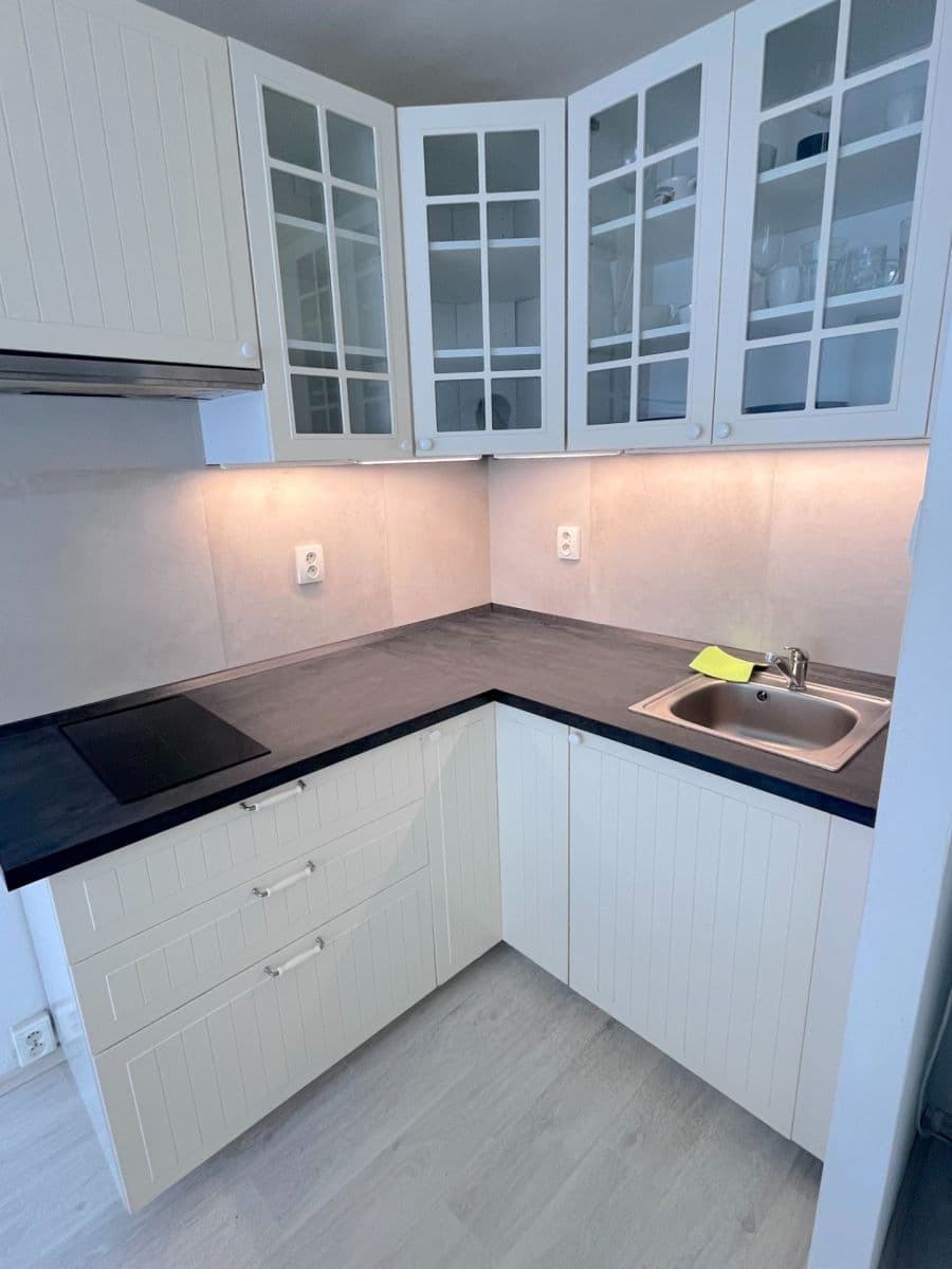 1 bedroom with open-plan kitchen flat to rent, 35 m², Vodňanského, Prague, Prague 1 bedroom with open-plan kitchen flat to rent, 35 m², Vodňanského, Prague, Prague