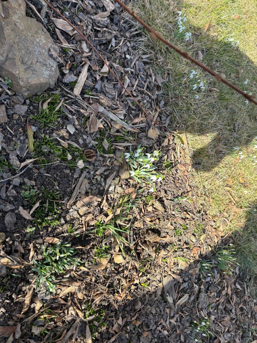 2 bedroom with open-plan kitchen flat to rent, 80 m², Aloise Jiráska, Příbram, Středočeský Region 2 bedroom with open-plan kitchen flat to rent, 80 m², Aloise Jiráska, Příbram, Středočeský Region