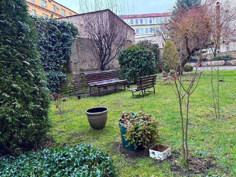 office to rent, 94 m², U Husova sboru, Pardubice, Pardubický Region office to rent, 94 m², U Husova sboru, Pardubice, Pardubický Region