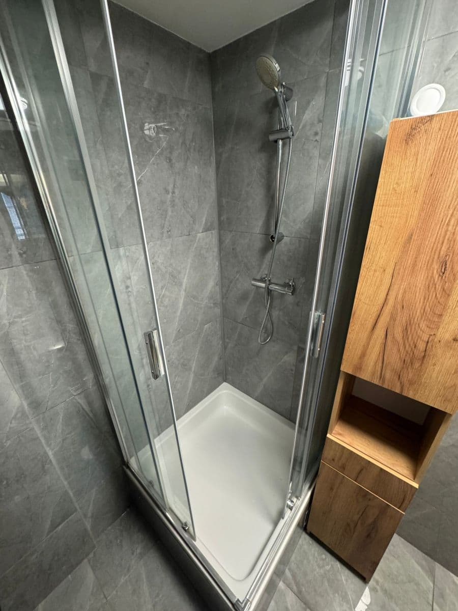 1 bedroom with open-plan kitchen flat to rent, 43 m², Evropská, Prague, Prague 1 bedroom with open-plan kitchen flat to rent, 43 m², Evropská, Prague, Prague