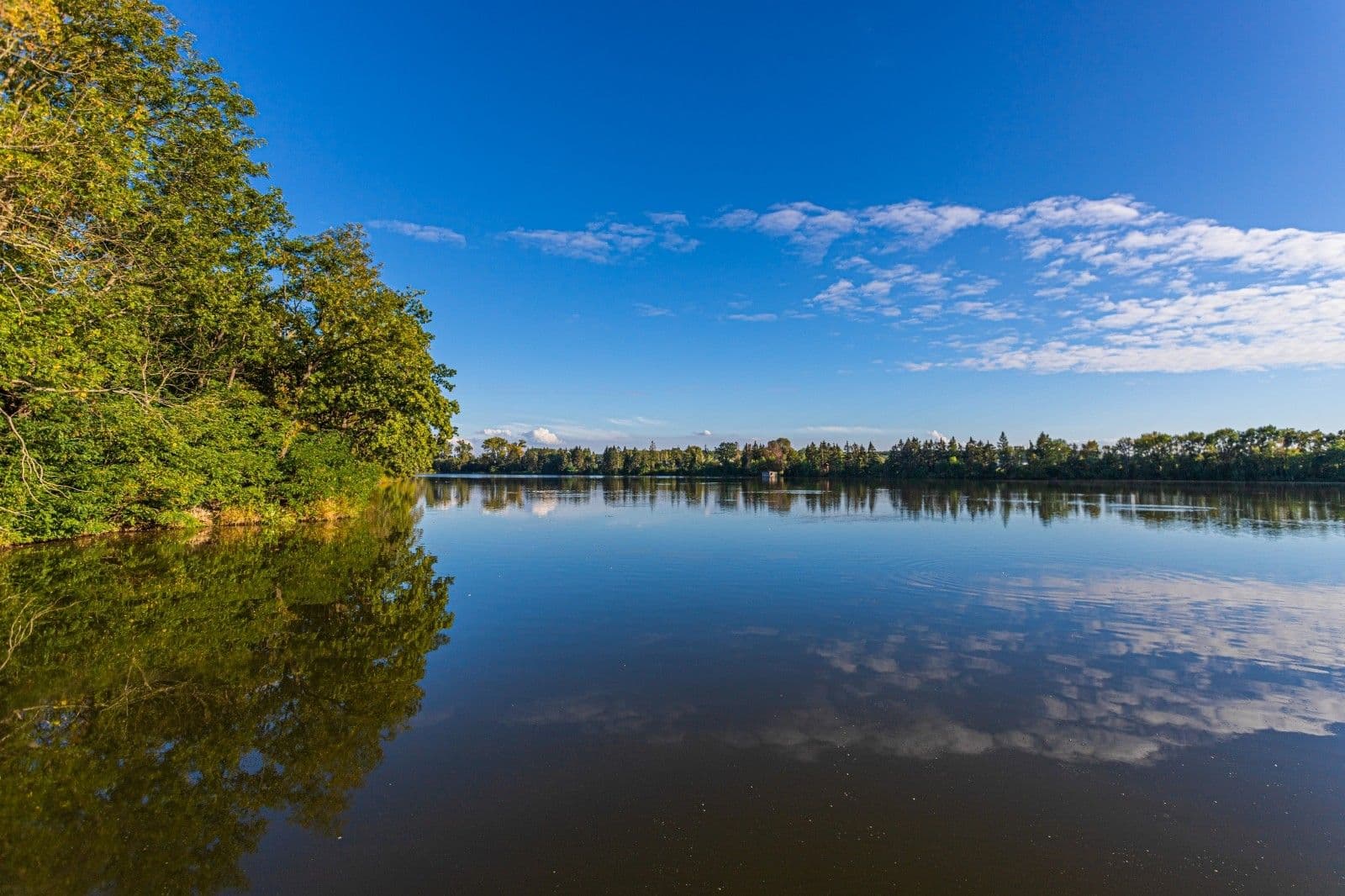 1 bedroom with open-plan kitchen flat to rent, 52 m², K Netlukám, Prague, Prague 1 bedroom with open-plan kitchen flat to rent, 52 m², K Netlukám, Prague, Prague