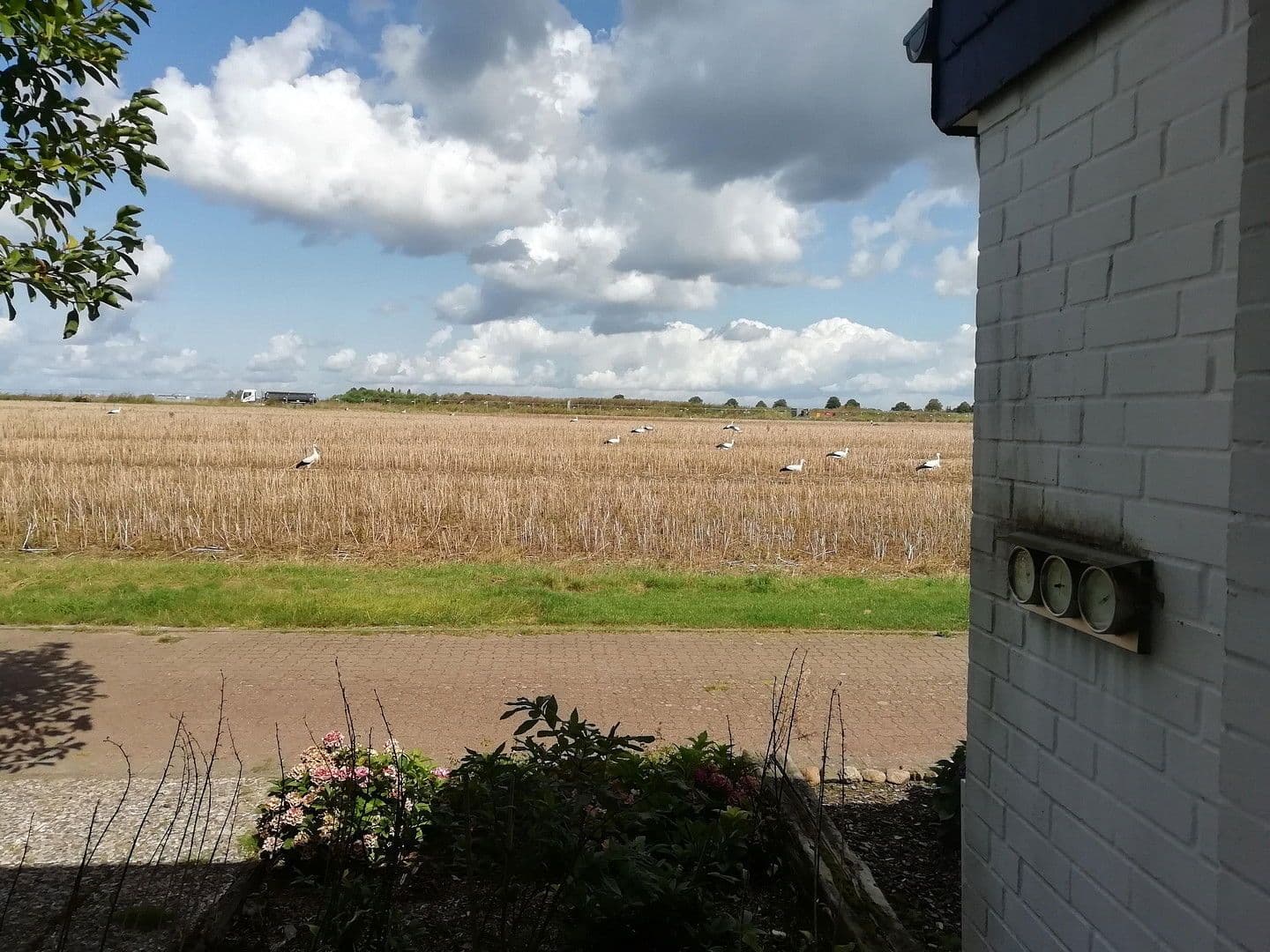 house for sale, 117 m², Erich-Kästner-Str. 31, Wunstorf, Lower Saxony house for sale, 117 m², Erich-Kästner-Str. 31, Wunstorf, Lower Saxony