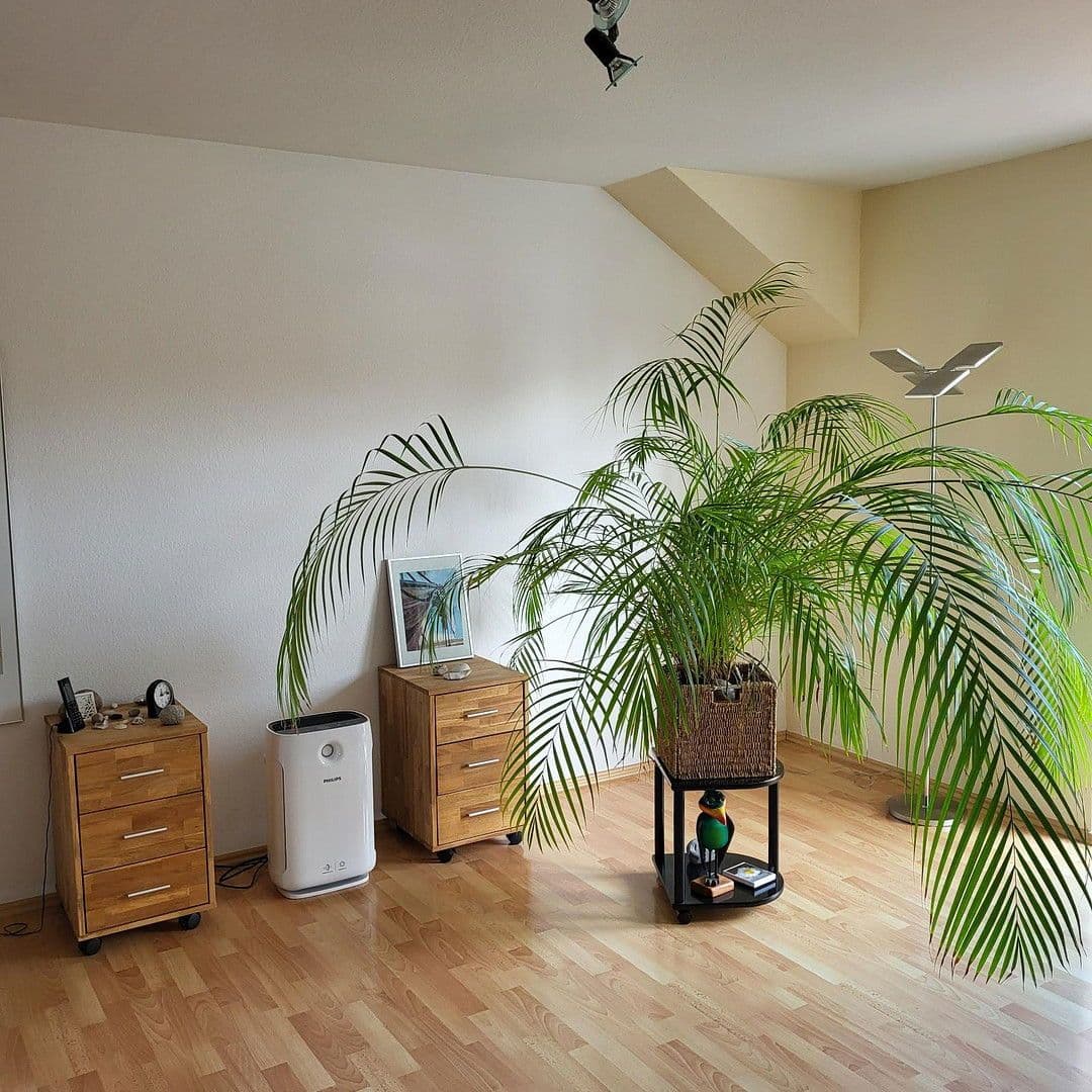 3 bedroom flat to rent, 120 m², Frankfurter Str.90, Salzgitter, Lower Saxony 3 bedroom flat to rent, 120 m², Frankfurter Str.90, Salzgitter, Lower Saxony