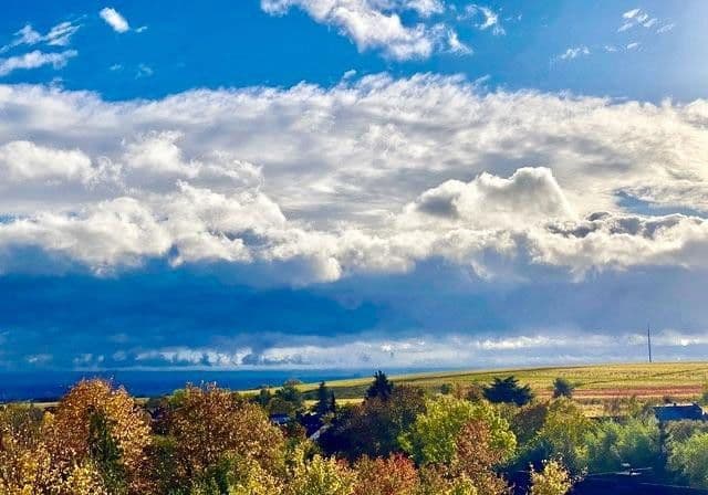 house for sale, 270 m², Weisenheim am Berg, Rhineland-Palatinate house for sale, 270 m², Weisenheim am Berg, Rhineland-Palatinate