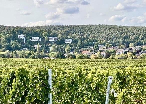 house for sale, 270 m², Weisenheim am Berg, Rhineland-Palatinate house for sale, 270 m², Weisenheim am Berg, Rhineland-Palatinate