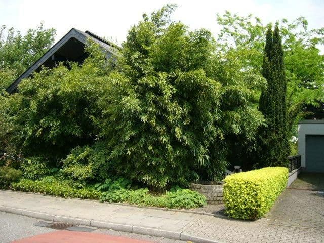 2 bedroom flat to rent, 63 m², Essen, North Rhine-Westphalia 2 bedroom flat to rent, 63 m², Essen, North Rhine-Westphalia