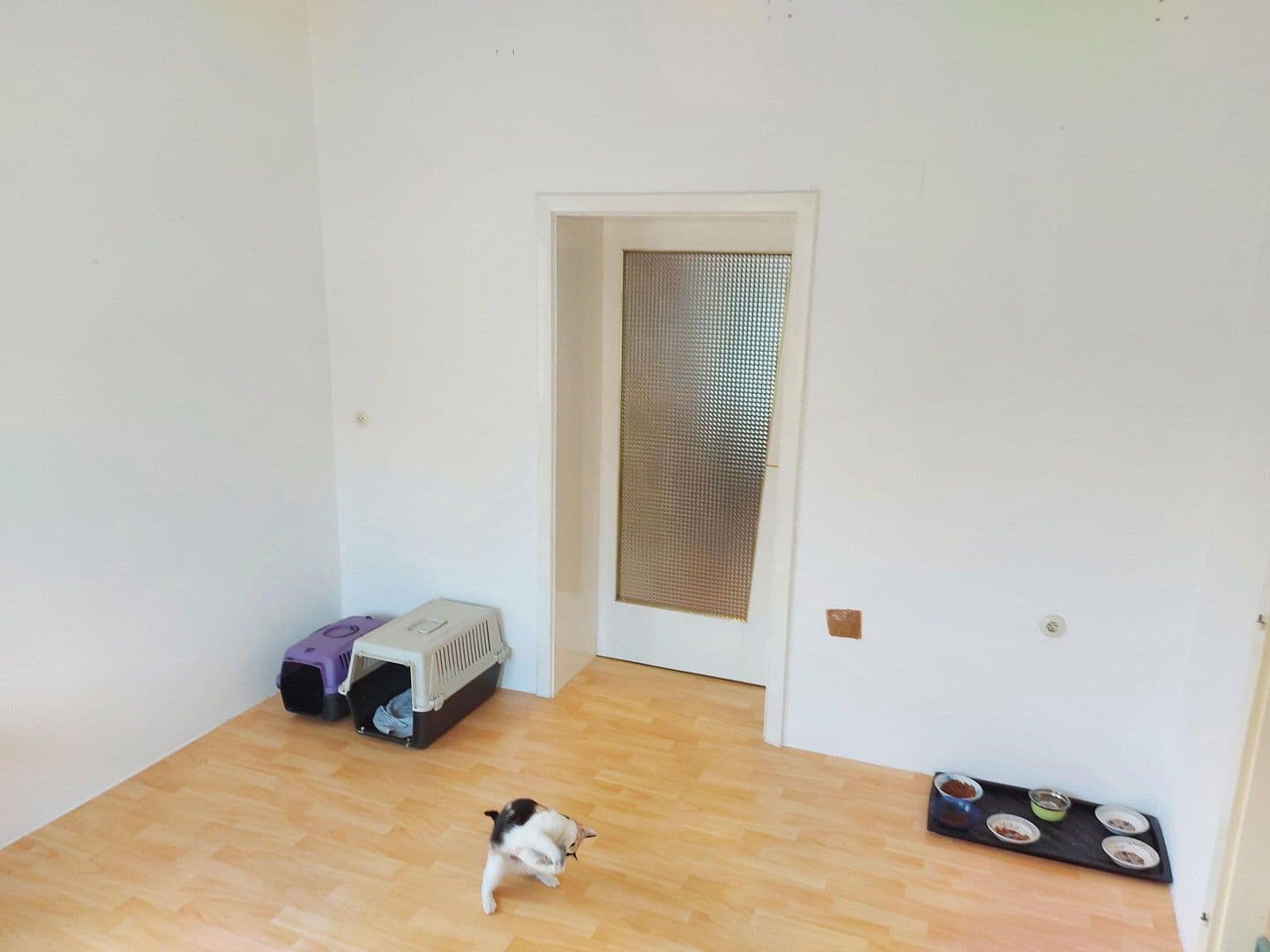 house for sale, 86 m², Sieggraben, Burgenland house for sale, 86 m², Sieggraben, Burgenland