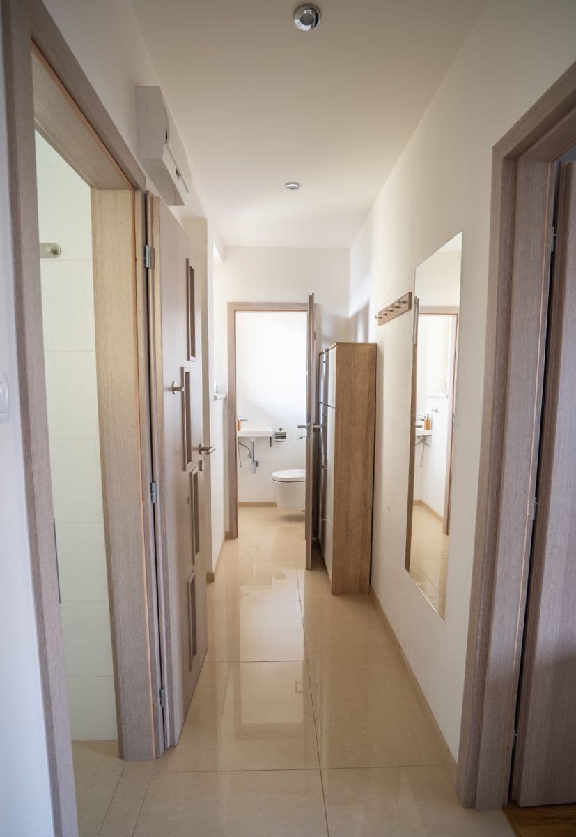 1 bedroom with open-plan kitchen flat for sale, 44 m², Jičínská, Prague, Prague 1 bedroom with open-plan kitchen flat for sale, 44 m², Jičínská, Prague, Prague