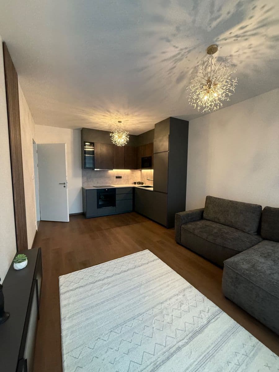 1 bedroom with open-plan kitchen flat to rent, 51 m², Thomasova, Prague, Prague 1 bedroom with open-plan kitchen flat to rent, 51 m², Thomasova, Prague, Prague