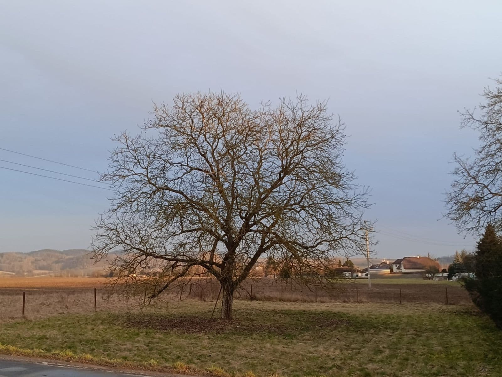 plot for sale, 1,008 m², Mnichovo Hradiště, Středočeský Region plot for sale, 1,008 m², Mnichovo Hradiště, Středočeský Region