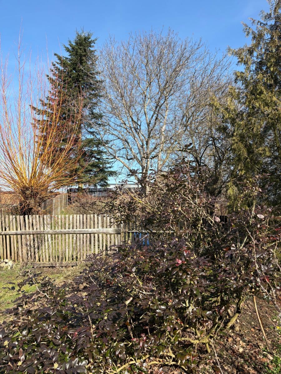 recreational property for sale, 442 m², Benešovská, Sedlec-Prčice, Středočeský Region recreational property for sale, 442 m², Benešovská, Sedlec-Prčice, Středočeský Region