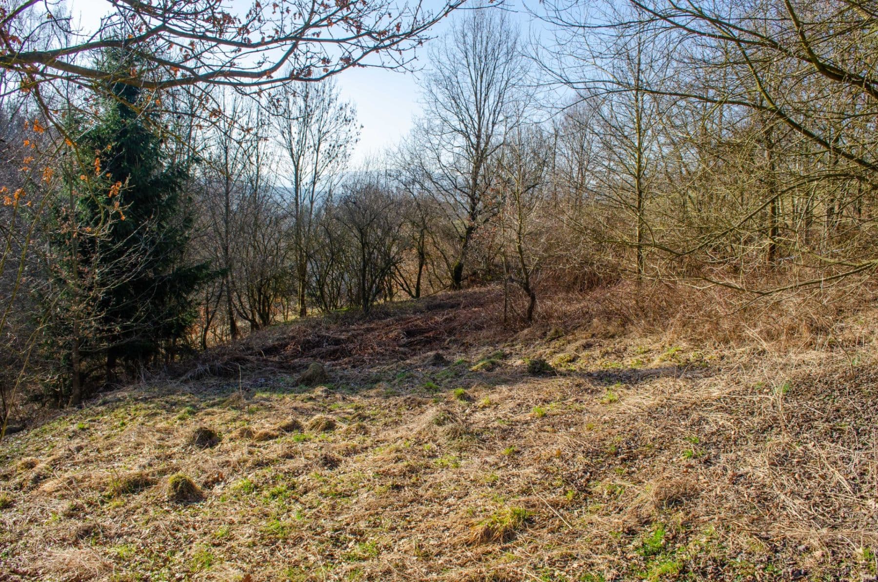 plot for sale, 2,174 m², Nová Ves, Liberecký Region plot for sale, 2,174 m², Nová Ves, Liberecký Region