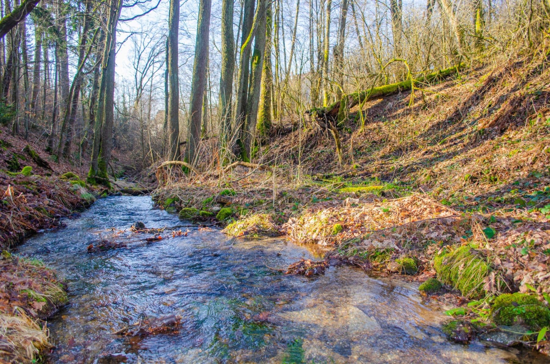 plot for sale, 2,174 m², Nová Ves, Liberecký Region plot for sale, 2,174 m², Nová Ves, Liberecký Region