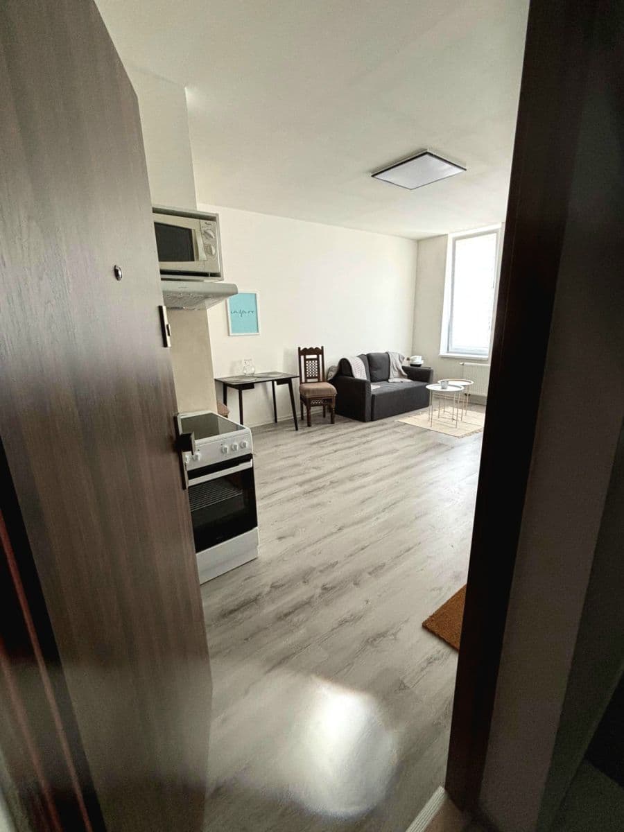 1 bedroom with open-plan kitchen flat to rent, 52 m², Čejkova, Brno, Jihomoravský Region 1 bedroom with open-plan kitchen flat to rent, 52 m², Čejkova, Brno, Jihomoravský Region