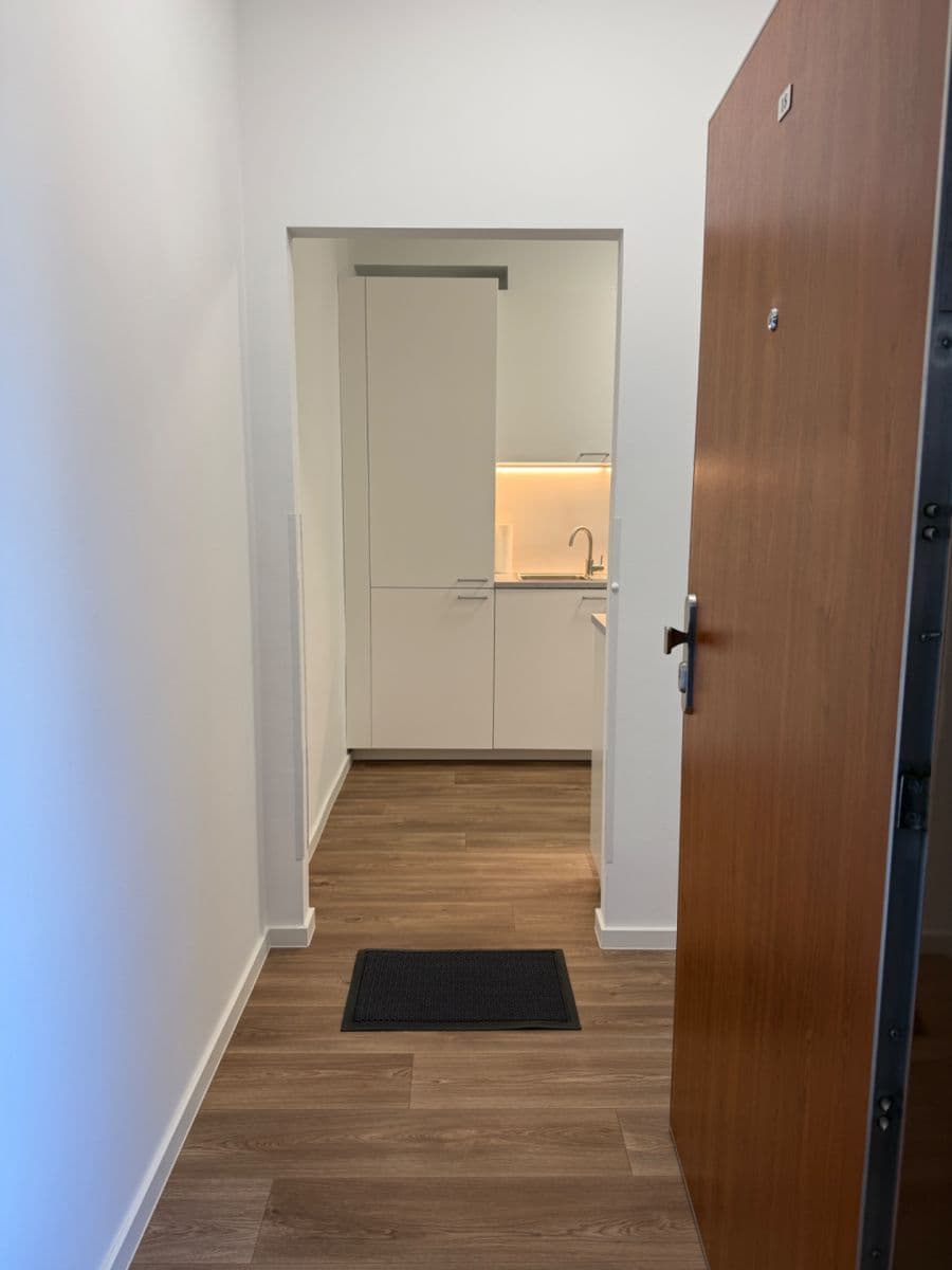 1 bedroom with open-plan kitchen flat to rent, 45 m², Myslbekova, Ostrava, Moravskoslezský Region 1 bedroom with open-plan kitchen flat to rent, 45 m², Myslbekova, Ostrava, Moravskoslezský Region