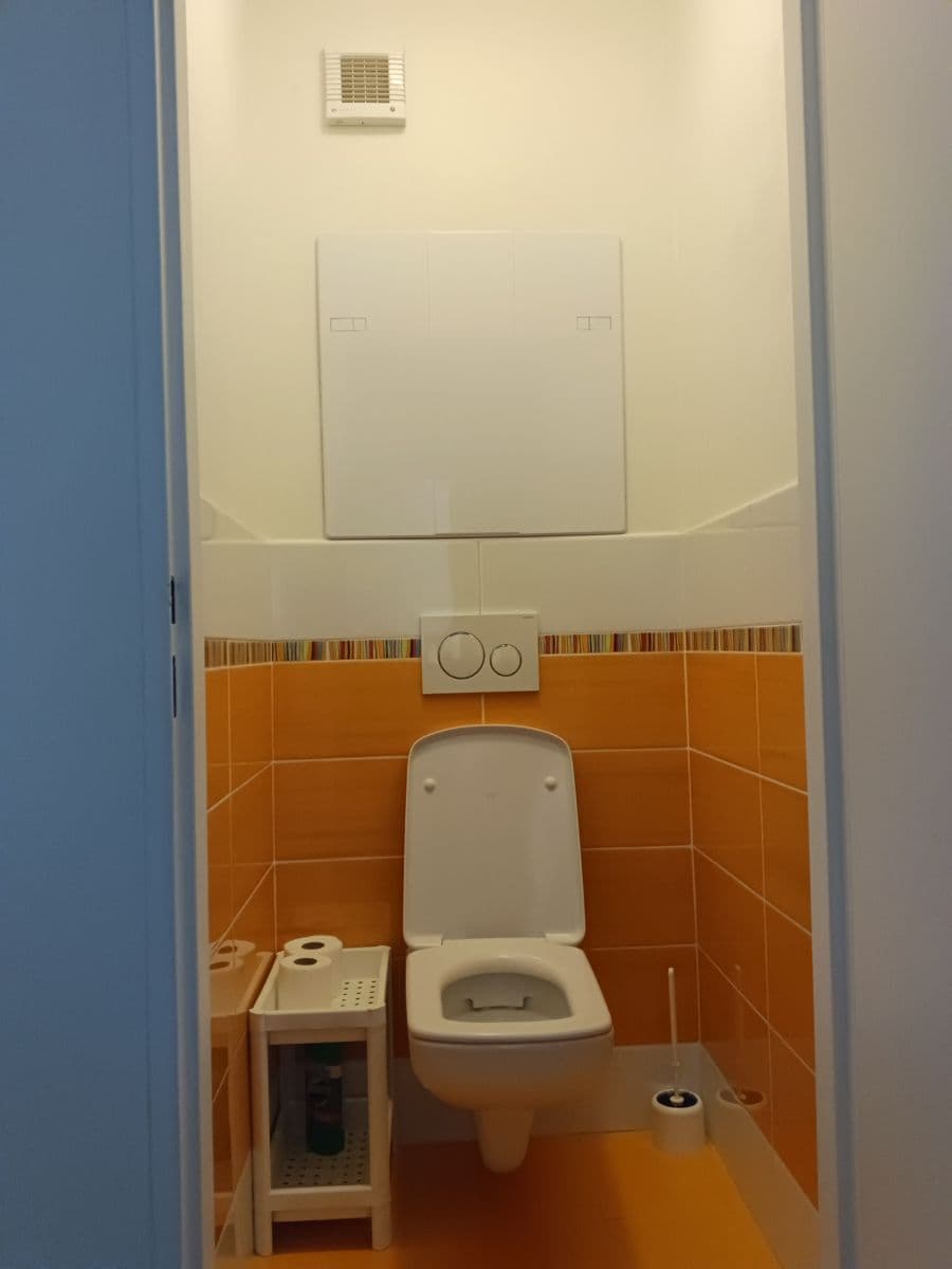 1 bedroom with open-plan kitchen flat to rent, 45 m², Kpt. Stránského, Prague, Prague 1 bedroom with open-plan kitchen flat to rent, 45 m², Kpt. Stránského, Prague, Prague