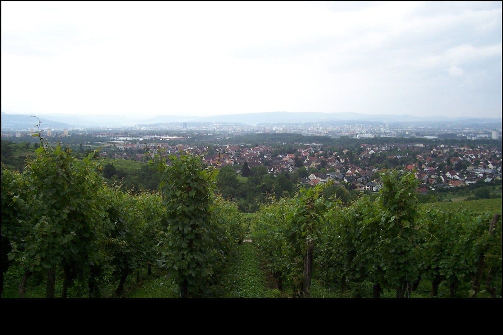 4 bedroom flat to rent, 119 m², Weil am Rhein, Baden-Württemberg 4 bedroom flat to rent, 119 m², Weil am Rhein, Baden-Württemberg