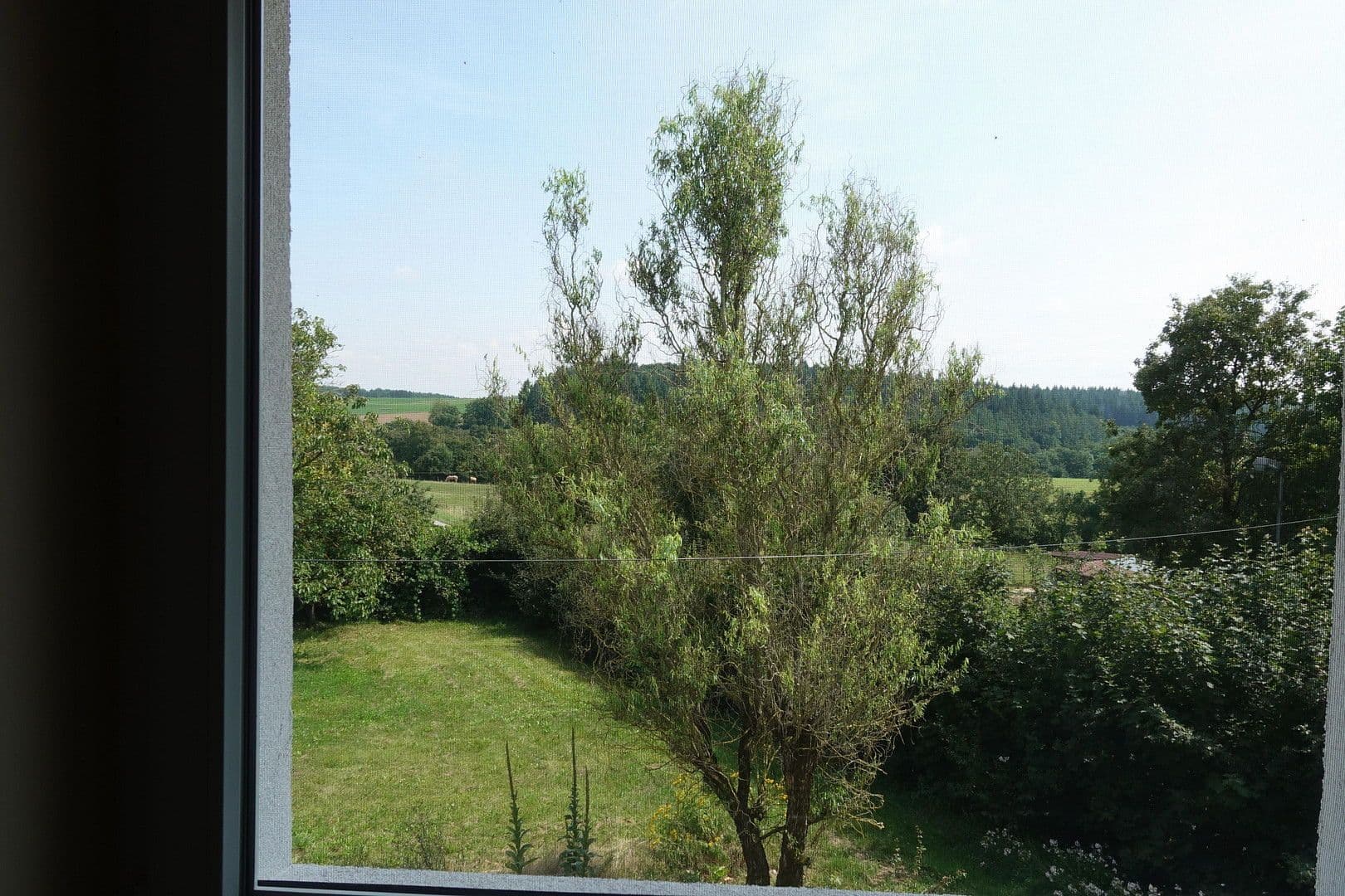 house for sale, 180 m², Hohlensten 3, Buchen (Odenwald), Baden-Württemberg house for sale, 180 m², Hohlensten 3, Buchen (Odenwald), Baden-Württemberg