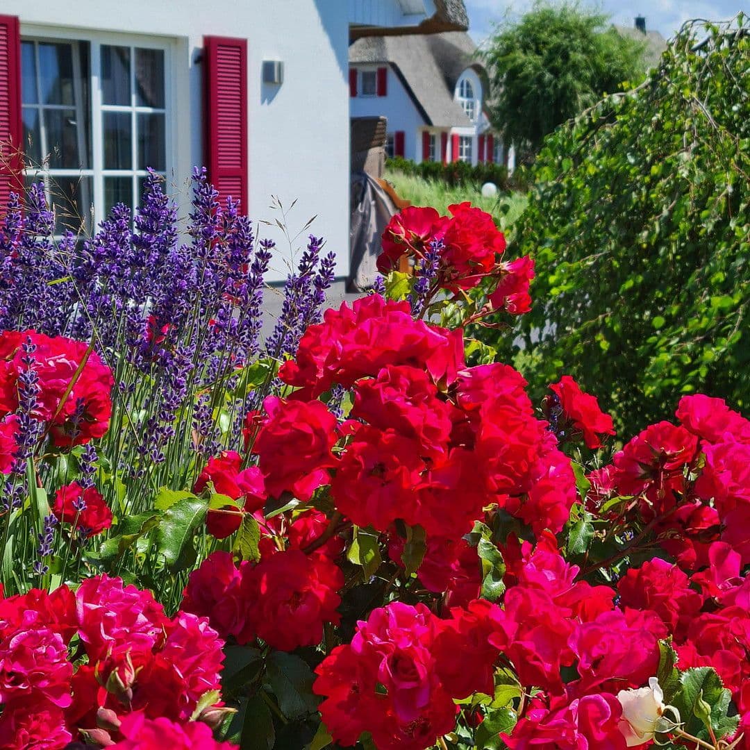 house for sale, 84 m², Fuhlendorf, Mecklenburg-Vorpommern house for sale, 84 m², Fuhlendorf, Mecklenburg-Vorpommern