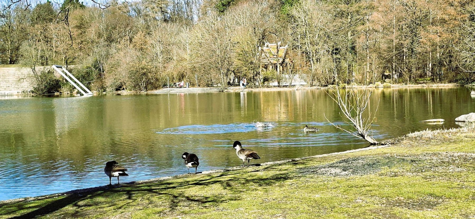 3 bedroom flat for sale, 80 m², Westendstrasse 266a, München, Bavaria 3 bedroom flat for sale, 80 m², Westendstrasse 266a, München, Bavaria