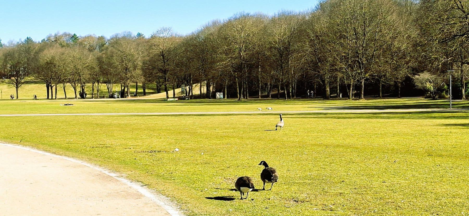 3 bedroom flat for sale, 80 m², Westendstrasse 266a, München, Bavaria 3 bedroom flat for sale, 80 m², Westendstrasse 266a, München, Bavaria