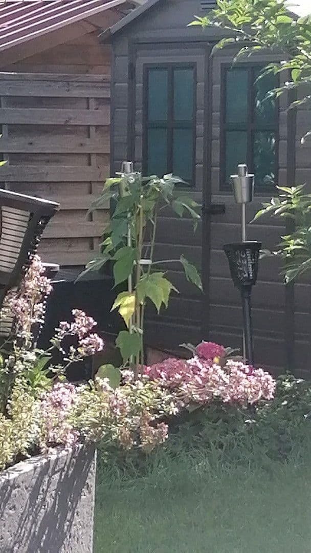 5 bedroom flat for sale, 150 m², Karlshuld, Bavaria 5 bedroom flat for sale, 150 m², Karlshuld, Bavaria