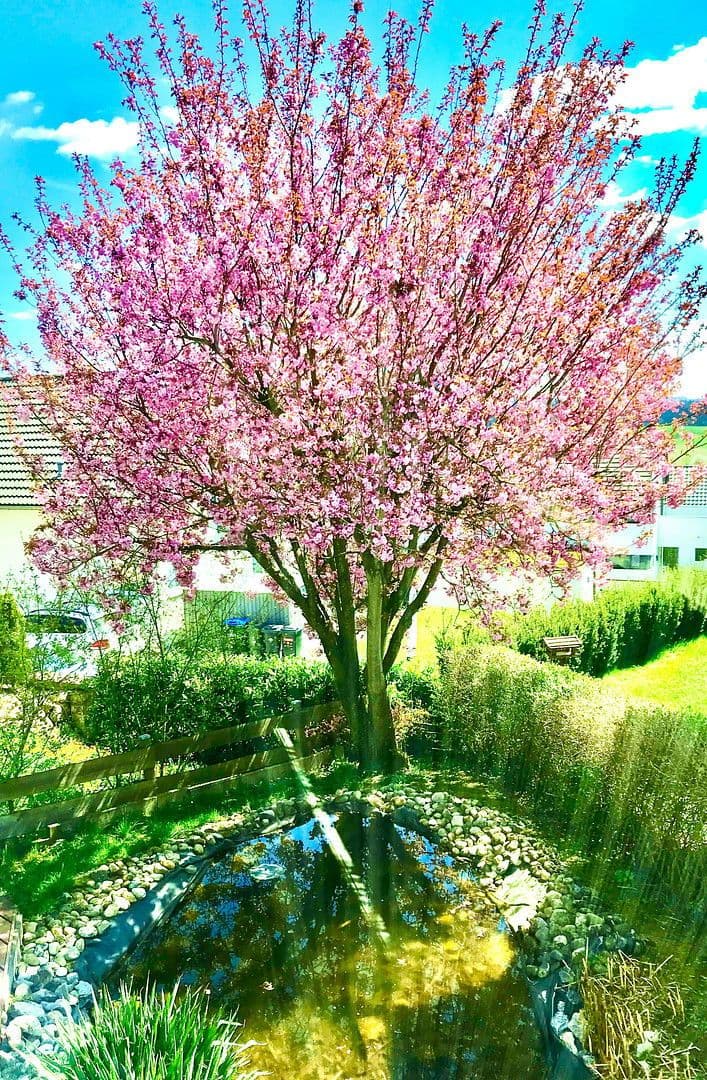 house for sale, 250 m², Göppingen, Baden-Württemberg house for sale, 250 m², Göppingen, Baden-Württemberg