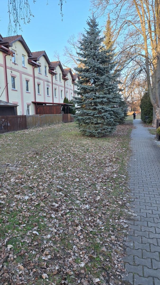 1 bedroom with open-plan kitchen flat to rent, 53 m², Kaštanová, Milovice, Středočeský Region 1 bedroom with open-plan kitchen flat to rent, 53 m², Kaštanová, Milovice, Středočeský Region