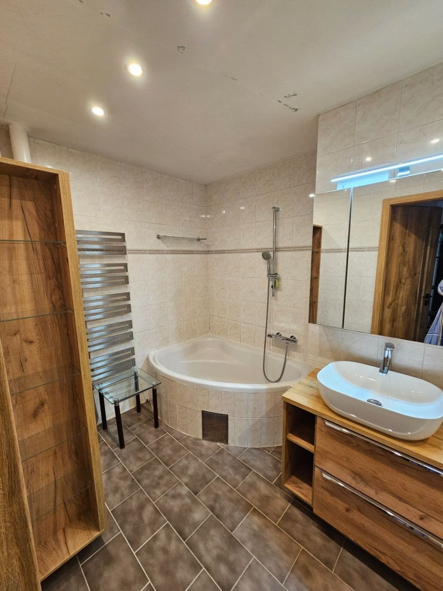 1 bedroom with open-plan kitchen flat to rent, 58 m², Na Poustkách, Prague, Prague 1 bedroom with open-plan kitchen flat to rent, 58 m², Na Poustkách, Prague, Prague