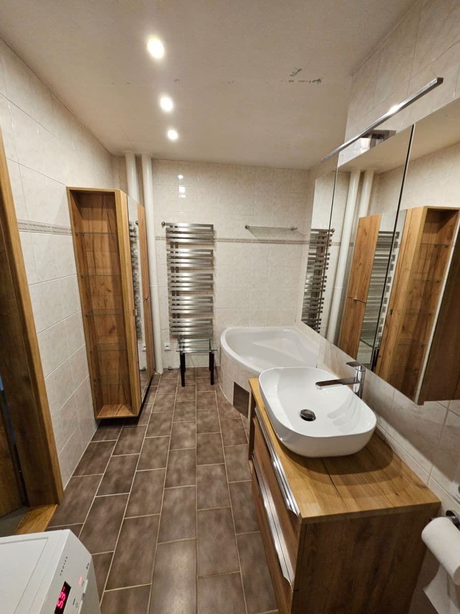 1 bedroom with open-plan kitchen flat to rent, 58 m², Na Poustkách, Prague, Prague 1 bedroom with open-plan kitchen flat to rent, 58 m², Na Poustkách, Prague, Prague