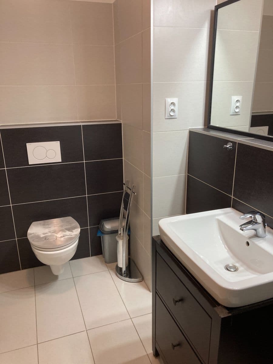 1 bedroom with open-plan kitchen flat for sale, 55 m², Řípská, Brno, Jihomoravský Region 1 bedroom with open-plan kitchen flat for sale, 55 m², Řípská, Brno, Jihomoravský Region