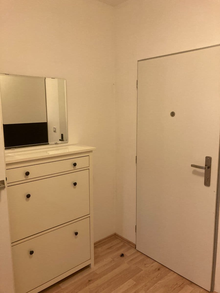 1 bedroom with open-plan kitchen flat for sale, 55 m², Řípská, Brno, Jihomoravský Region 1 bedroom with open-plan kitchen flat for sale, 55 m², Řípská, Brno, Jihomoravský Region