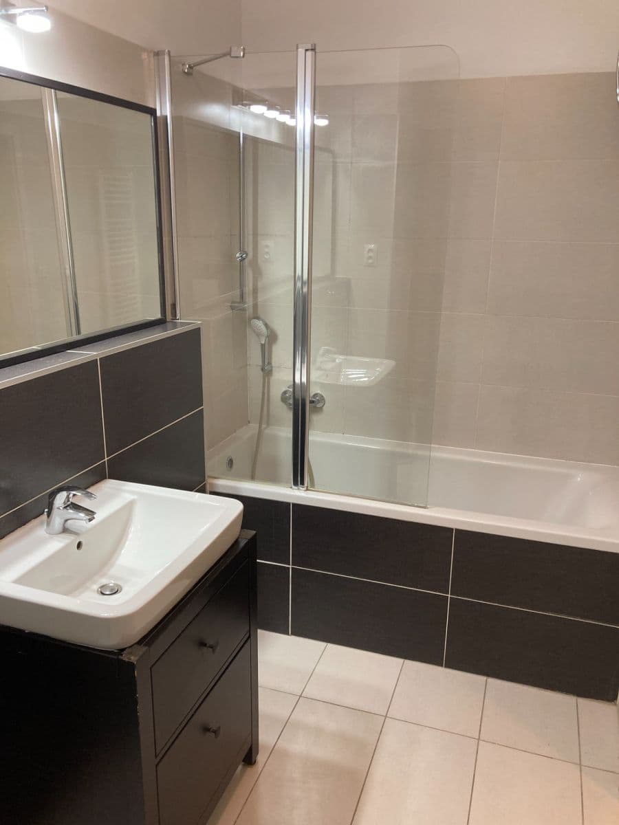 1 bedroom with open-plan kitchen flat for sale, 55 m², Řípská, Brno, Jihomoravský Region 1 bedroom with open-plan kitchen flat for sale, 55 m², Řípská, Brno, Jihomoravský Region