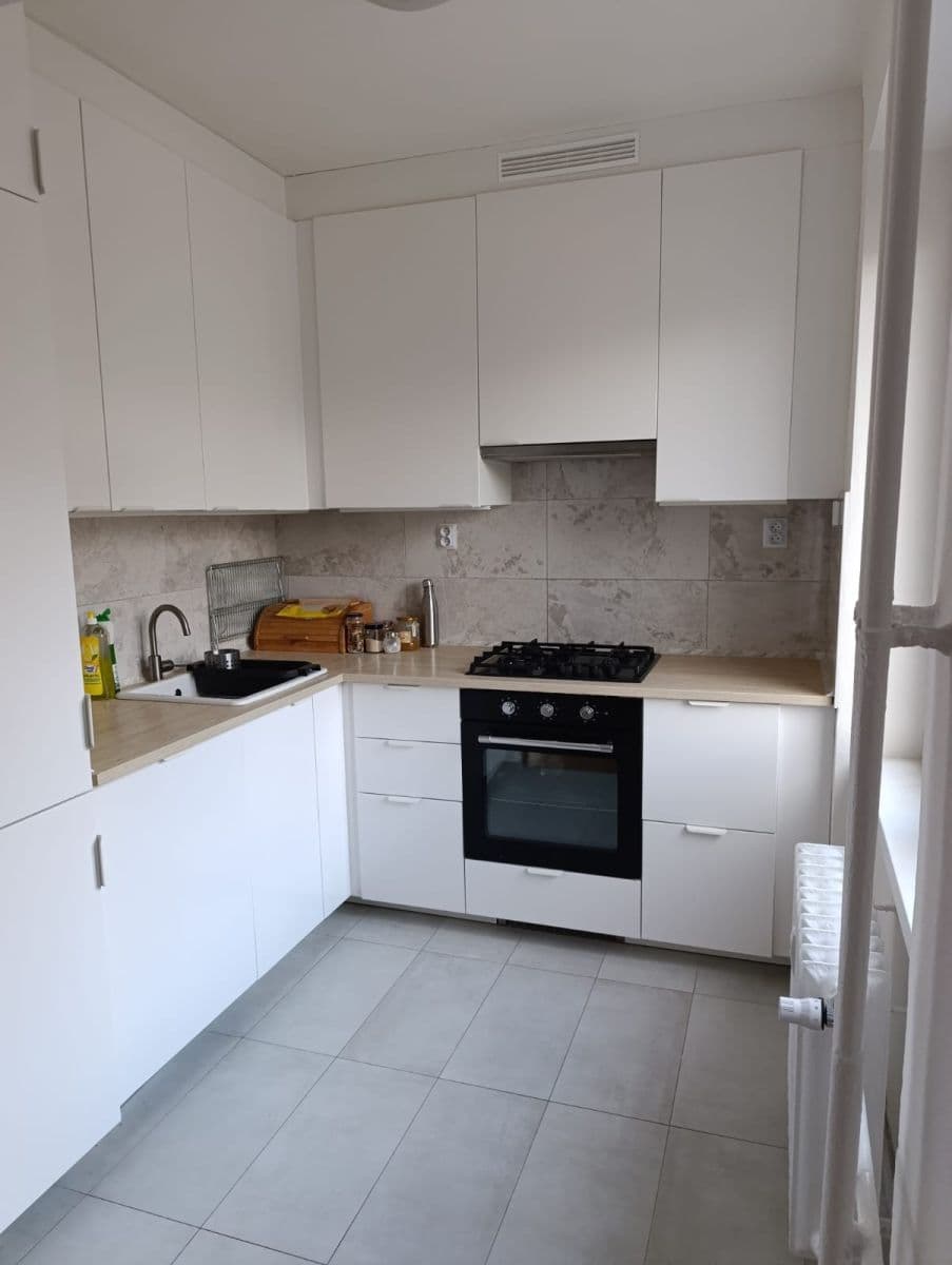 1 bedroom with open-plan kitchen flat to rent, 44 m², Dětská, Prague, Prague 1 bedroom with open-plan kitchen flat to rent, 44 m², Dětská, Prague, Prague