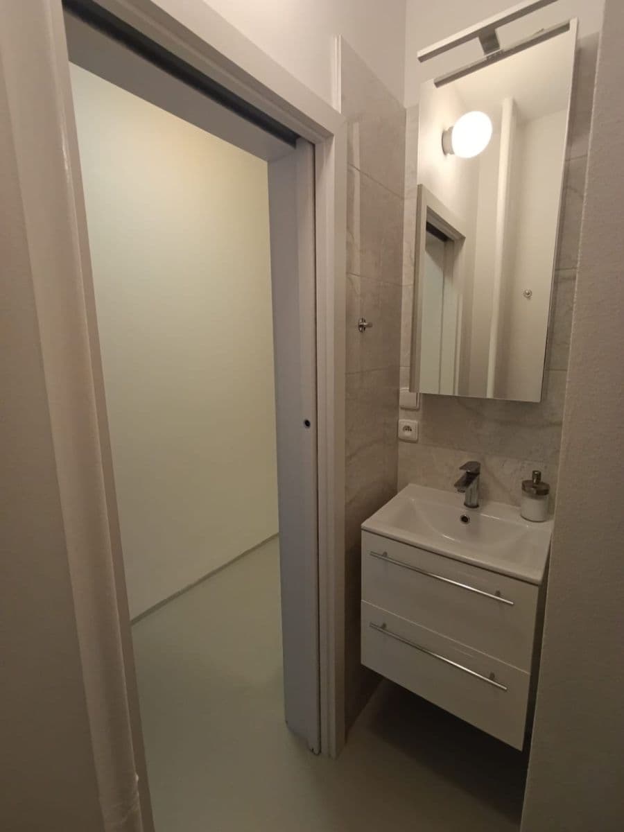 1 bedroom with open-plan kitchen flat to rent, 44 m², Dětská, Prague, Prague 1 bedroom with open-plan kitchen flat to rent, 44 m², Dětská, Prague, Prague