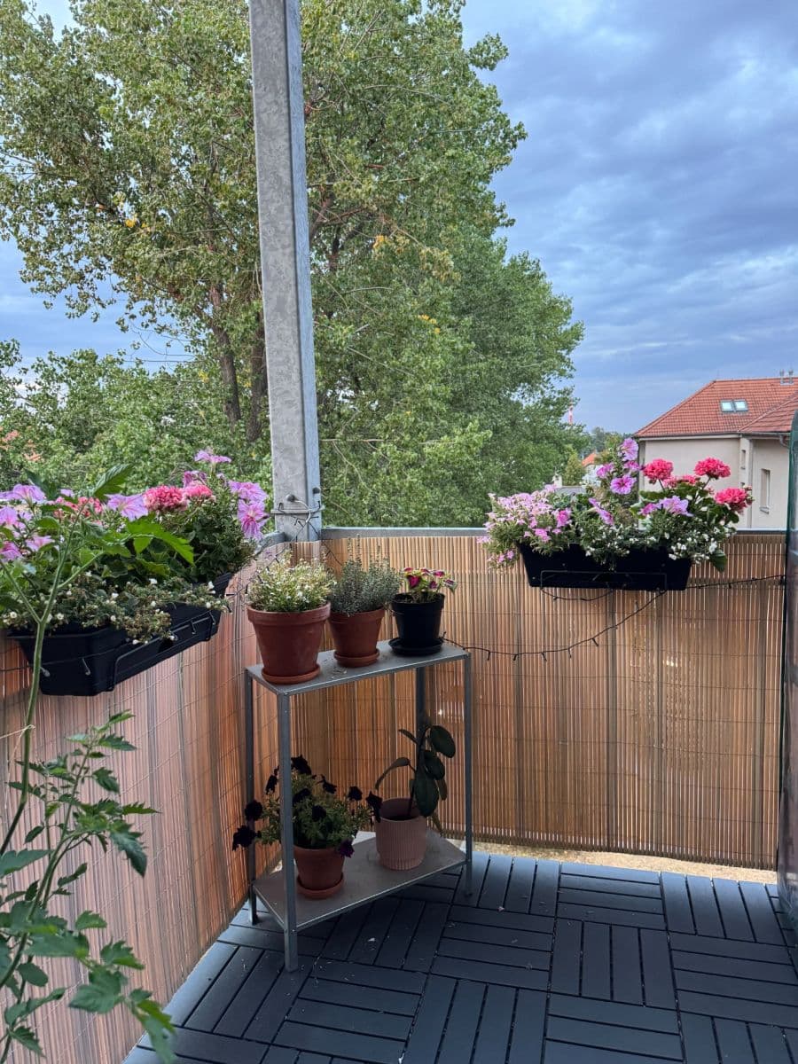 1 bedroom with open-plan kitchen flat for sale, 45 m², Tomanova, Slaný, Středočeský Region 1 bedroom with open-plan kitchen flat for sale, 45 m², Tomanova, Slaný, Středočeský Region