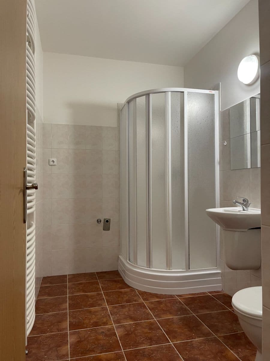 1 bedroom with open-plan kitchen flat to rent, 62 m², Na Lávce, Prague, Prague 1 bedroom with open-plan kitchen flat to rent, 62 m², Na Lávce, Prague, Prague