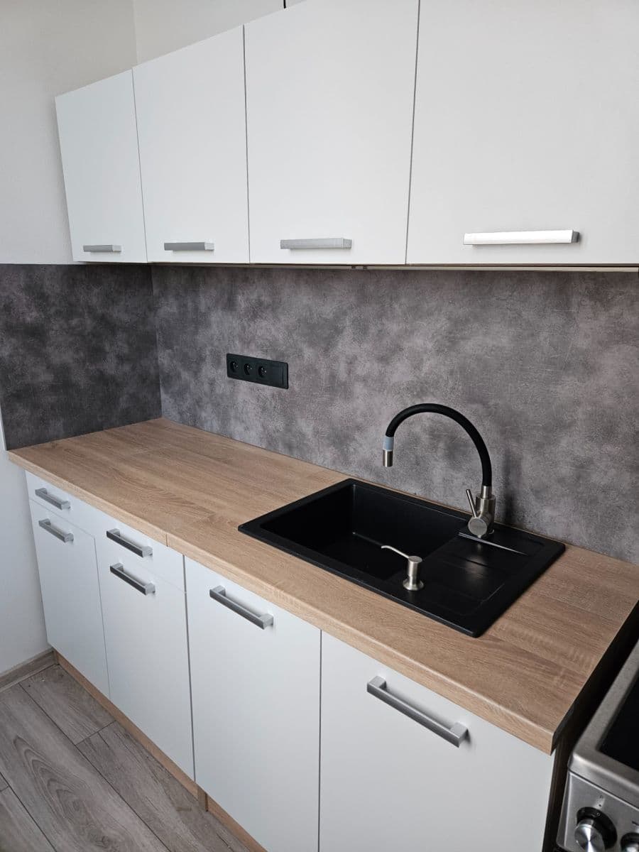 1 bedroom with open-plan kitchen flat to rent, 46 m², Lobezská, Plzeň, Plzeňský Region 1 bedroom with open-plan kitchen flat to rent, 46 m², Lobezská, Plzeň, Plzeňský Region