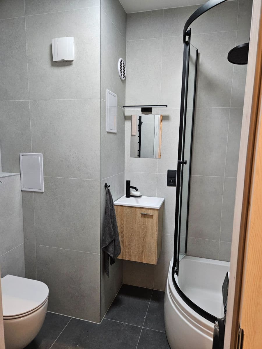 1 bedroom with open-plan kitchen flat to rent, 46 m², Lobezská, Plzeň, Plzeňský Region 1 bedroom with open-plan kitchen flat to rent, 46 m², Lobezská, Plzeň, Plzeňský Region