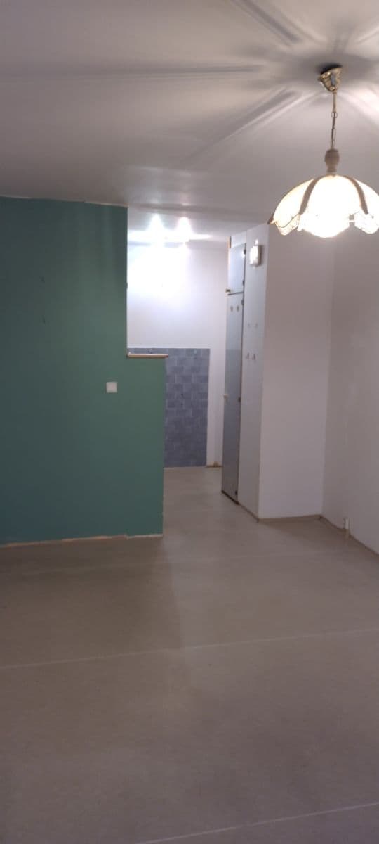 1 bedroom with open-plan kitchen flat for sale, 42 m², Mendelova, Prague, Prague 1 bedroom with open-plan kitchen flat for sale, 42 m², Mendelova, Prague, Prague