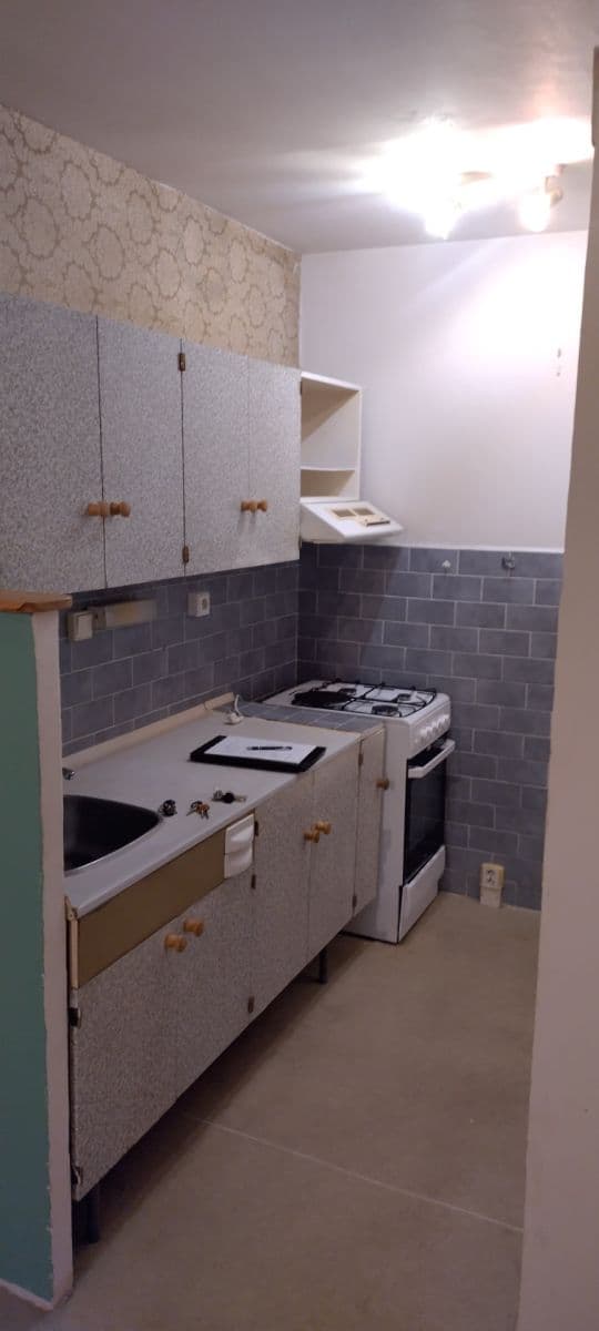 1 bedroom with open-plan kitchen flat for sale, 42 m², Mendelova, Prague, Prague 1 bedroom with open-plan kitchen flat for sale, 42 m², Mendelova, Prague, Prague